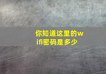 你知道这里的wifi密码是多少