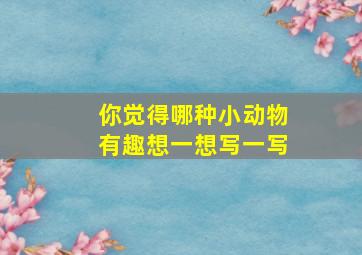 你觉得哪种小动物有趣想一想写一写