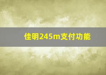 佳明245m支付功能