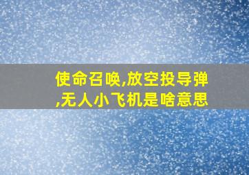 使命召唤,放空投导弹,无人小飞机是啥意思