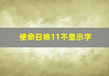 使命召唤11不显示字