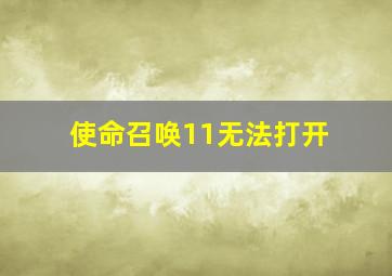 使命召唤11无法打开