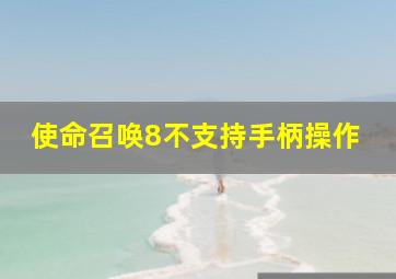 使命召唤8不支持手柄操作