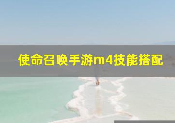 使命召唤手游m4技能搭配