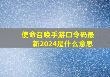 使命召唤手游口令码最新2024是什么意思