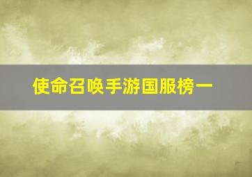 使命召唤手游国服榜一