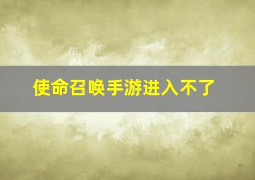 使命召唤手游进入不了