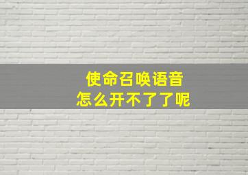 使命召唤语音怎么开不了了呢