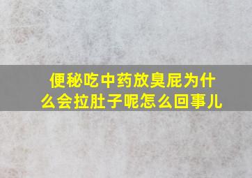 便秘吃中药放臭屁为什么会拉肚子呢怎么回事儿