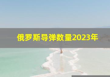 俄罗斯导弹数量2023年