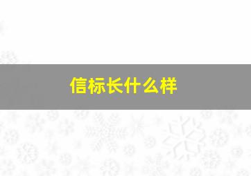 信标长什么样