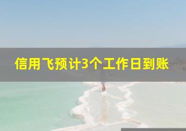 信用飞预计3个工作日到账