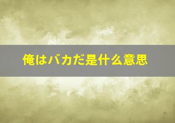 俺はバカだ是什么意思