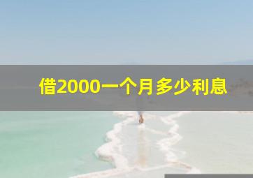 借2000一个月多少利息