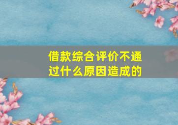 借款综合评价不通过什么原因造成的