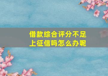 借款综合评分不足上征信吗怎么办呢