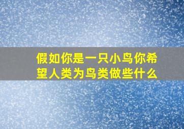 假如你是一只小鸟你希望人类为鸟类做些什么