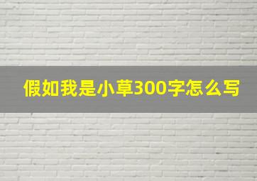 假如我是小草300字怎么写