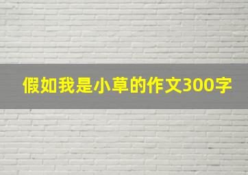 假如我是小草的作文300字