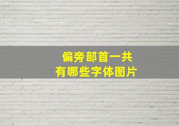 偏旁部首一共有哪些字体图片