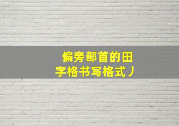 偏旁部首的田字格书写格式丿