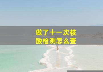 做了十一次核酸检测怎么查