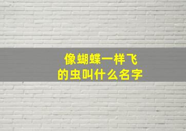 像蝴蝶一样飞的虫叫什么名字