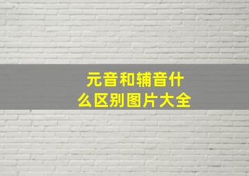 元音和辅音什么区别图片大全