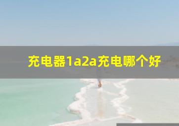 充电器1a2a充电哪个好