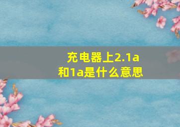 充电器上2.1a和1a是什么意思