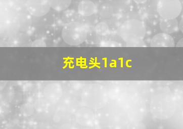 充电头1a1c