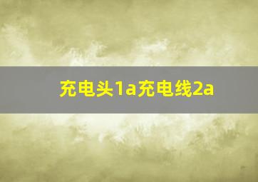 充电头1a充电线2a