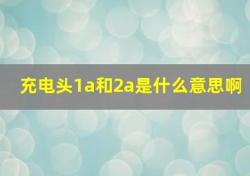 充电头1a和2a是什么意思啊