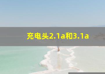 充电头2.1a和3.1a