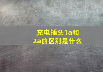 充电插头1a和2a的区别是什么