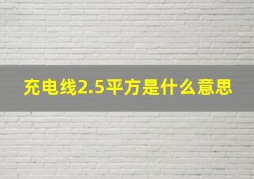 充电线2.5平方是什么意思