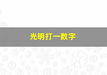 光明打一数字