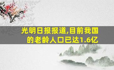 光明日报报道,目前我国的老龄人口已达1.6亿