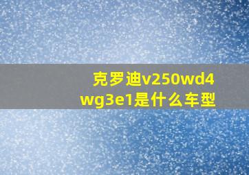 克罗迪v250wd4wg3e1是什么车型