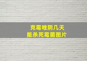 克霉唑阴几天能杀死霉菌图片