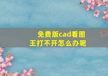 免费版cad看图王打不开怎么办呢