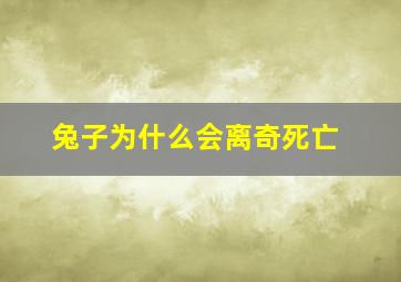 兔子为什么会离奇死亡