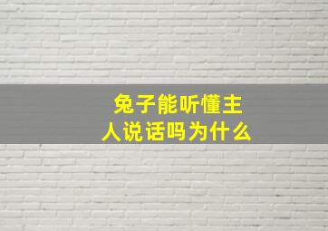 兔子能听懂主人说话吗为什么