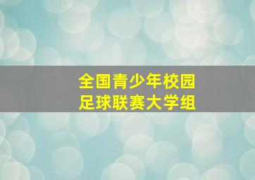 全国青少年校园足球联赛大学组