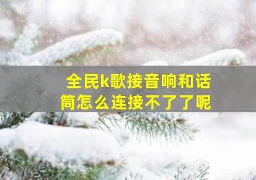 全民k歌接音响和话筒怎么连接不了了呢