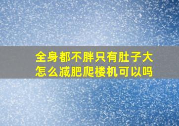 全身都不胖只有肚子大怎么减肥爬楼机可以吗