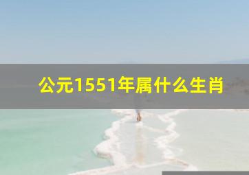 公元1551年属什么生肖