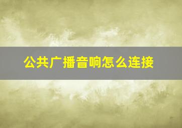 公共广播音响怎么连接