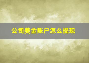 公司美金账户怎么提现