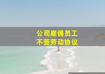 公司雇佣员工不签劳动协议